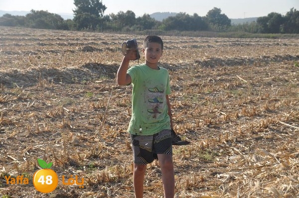 7amam lud monir 908 (6).JPG